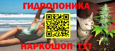 эйфоретик Кунгур