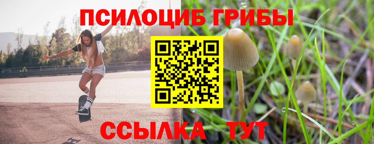 цены наркотик  Вход с VPN  Щёлково  Галлюциногенные грибы Psilocybine cubensis  Галлюциногенные грибы Psilocybe 